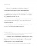 En la presente monografía hablaremos acerca del calentamiento deportivo y la importancia que tiene esta actividad antes de comenzar cualquier desarrollo deportivo.