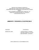 Ambiente y desarrollo sustentable 1