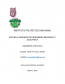 INTRODUCCIÓN DEL PROBLEMA, ANÁLISIS Y REFERENCIAS DE APOYO