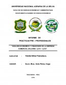 Analisis economico y financiero de la empresa comercial Saldaña