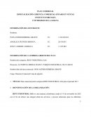 Primer Avance de modelo economico