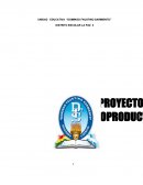 PROYECTO EDUCATIVO SOCIOCOMUNITARIO PRODUCTIVO