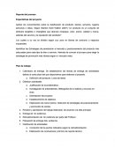 Reporte del proceso Expectativas del proyecto