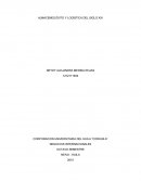 Almacenes Éxito y logistica del siglo XXI