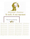 KRYSTAL PLAN DE MARKETING