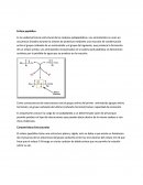 Es la unidad primaria estructural de las cadenas polipéptidicas.