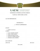 CULTURA EMPRENDEDORA INTEGRADORA IV