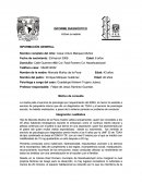 INFORME DIAGNÓSTICO.El menor ha asistido a servicio de psiquiatría mismo que dio un diagnóstico de TDAH