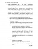 Una introducción a Bourdieu. Pablo Tovillas.