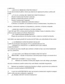 Cuestionario DERECHO CONSTITUCIONAL.
