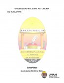 INFORME DE FILOSOFIA. Trabajo de ¨La Cultura¨. *Enfoques. *Pioneros.