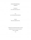 ROCESOS ADMINISTRATIVOS CORPORACIÓN UNIVERSITARIA MINUTO DE DIOS ADMINISTRACION EN SALUD OCUPACIONAL