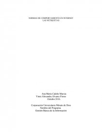 NORMAS DE COMPORTAMIENTO EN INTERNET LAS NETIQUETAS. Página 1
