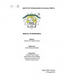 Ejemplo de manual de bienvenida