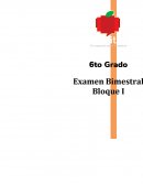 EVALUACIÓN 6to Grado - EXAMEN Bloque 1