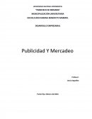 Las Estrategias de mercadeo.