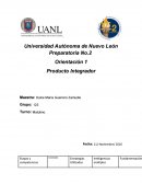 Producto integrador Orientacion 1