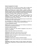 Estados de agragacion de la materia.