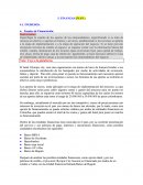 Especifique la cuantía de los aportes de los emprendedores