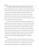 Ensayo compras y suministros