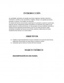 Las cantidades vectoriales son aquellas que tienen magnitud o tamaño, dirección u orientación y sentido ya que sea positivo o negativo