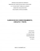 Educacion Fisica calentamiento muscular,