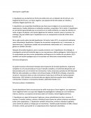 Bacteriologia serratia. Descripción y significado