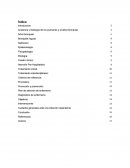 Anatomía y fisiología de los pulmones y el árbol bronquial.