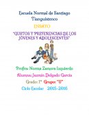 GUSTOS Y PREFERENCIAS DE LOS JÓVENES Y ADOLESCENTES