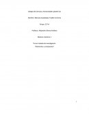 Tema 3 de investigacion elementos