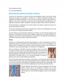 Anatomía de sistema excretor-urinario
