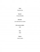 Analisis Pelicula Cuidad de Dios