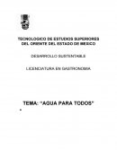 Reforma: Agua para todos