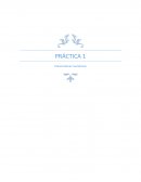 PRÁCTICA 1 Conversiones numéricas