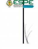 DIAMANTE DE EXCELENCIA ORGANIZAICONAL