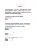 Ensayo de discriminación de fonemas