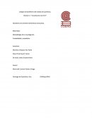 Abandono de animales domésticos (mascotas).