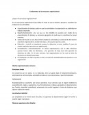 Fundamentos de la Estructura Organizacional. ¿Qué es la estructura organizacional?