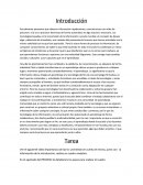 Informacion aprendizaje ubicuo y consignas tic