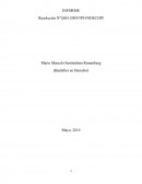 Análisis sobre el plagio de Bryce Echenique