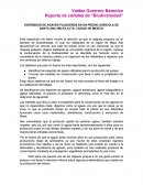 DIVERSIDAD DE AGAVES PULQUEROS EN UN PREDIO AGRICOLA SE SANTA ANA, MILPA ALTA. CIUDAD DE MEXICO