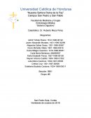 REGULACION MOLECULAR DEL DESARROLLO DEL TUBO INTESTINAL