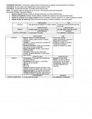 Contabilidad financiera. Técnica para registrar todos los fenómenos que afecten económicamente a la empresa.