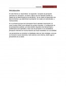 En este informe se desarrollaran los siguientes conceptos de percepción
