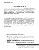 FUNCIONES DE NUTRICIÓN