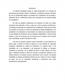 Plantas industriales. Introducción.