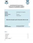 Obtención de papel a partir del pseudo tallo de verde.