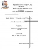 ENSAYO EL DEBER SER DE LA AUDITORIA