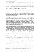 VALORES EN LOS NIÑOS.