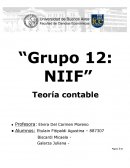 ¿Qué son las Normas Internacionales de Información Financiera (NIIF)?.